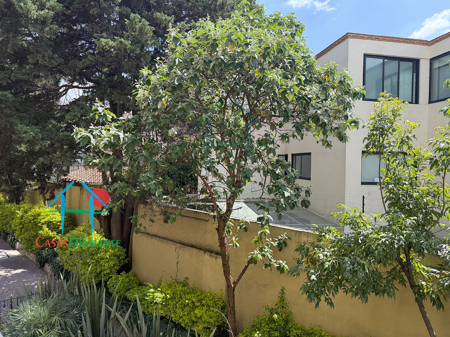 Av. Toluca Telma E BJB - Terraza 3